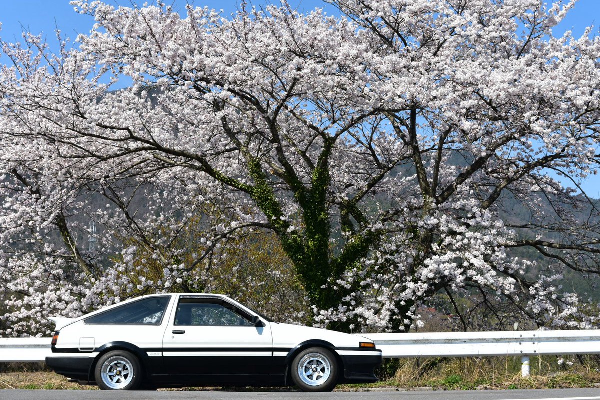 つるっぺ tweet media