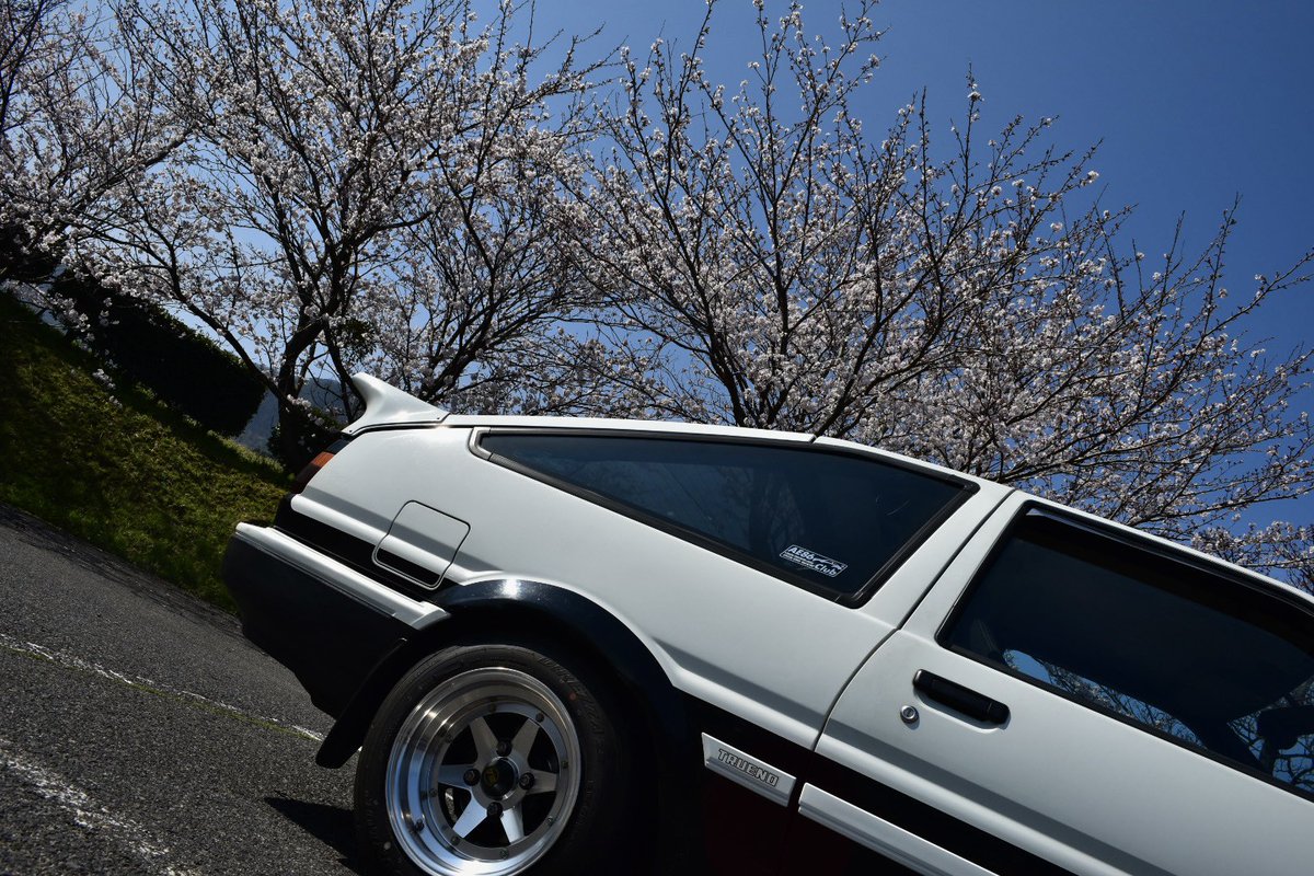 つるっぺ tweet media