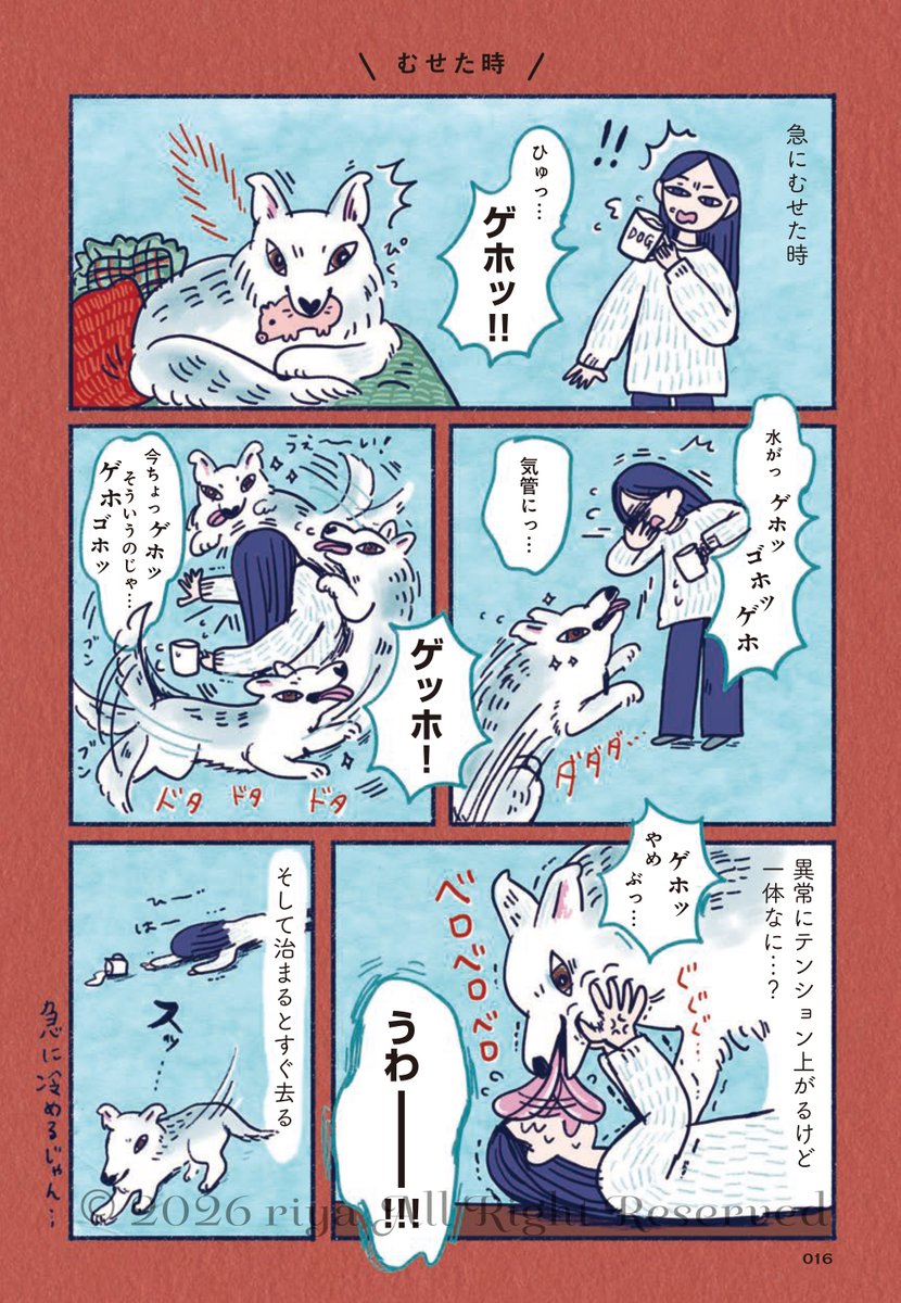 (2/4) 