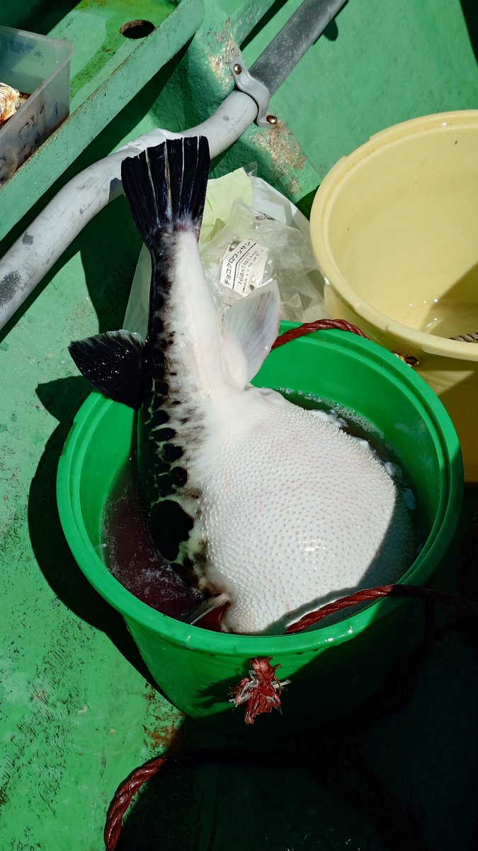 そらお tweet media