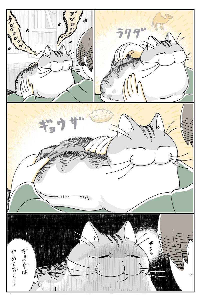 キュルZ tweet media