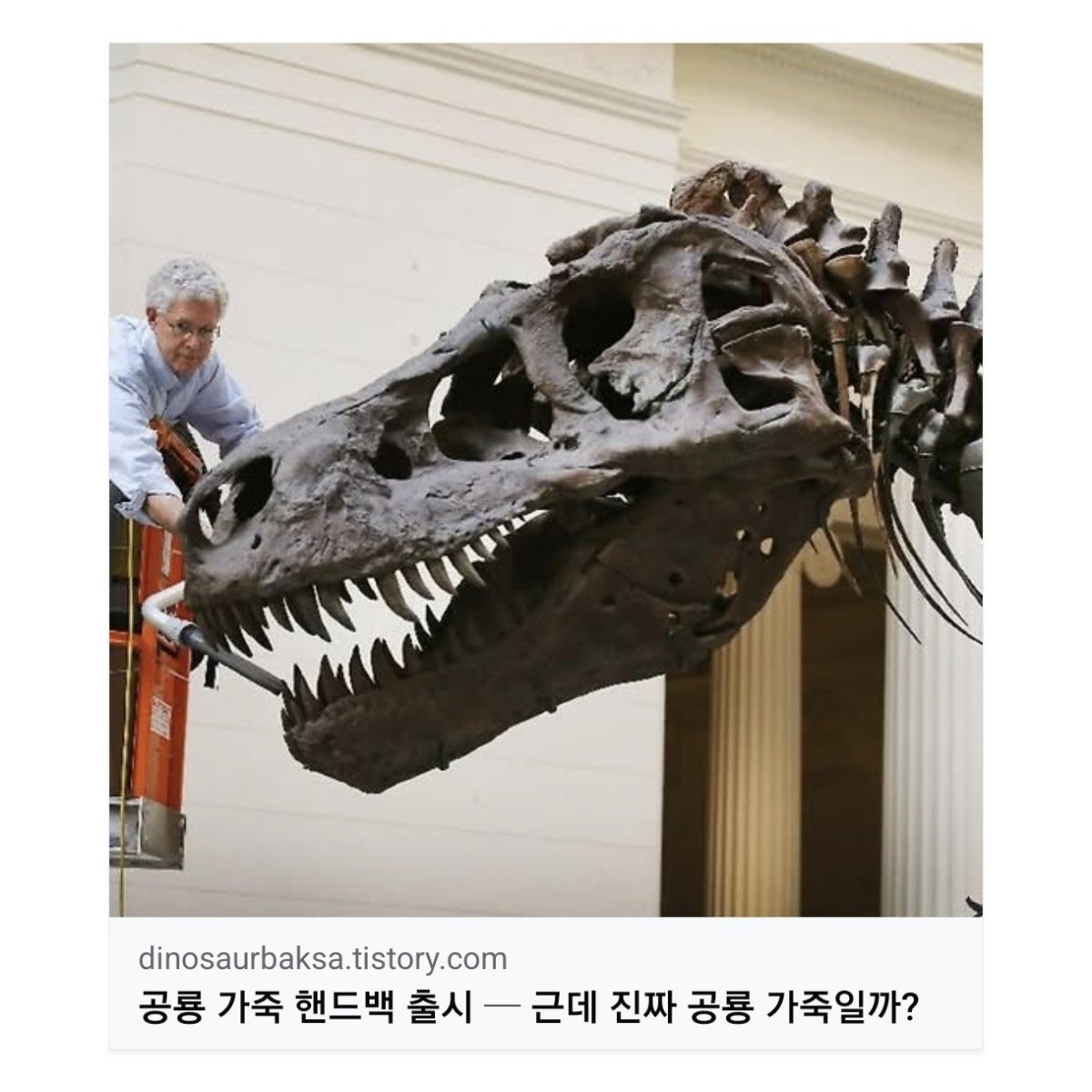 공룡 박사 박진영 tweet media