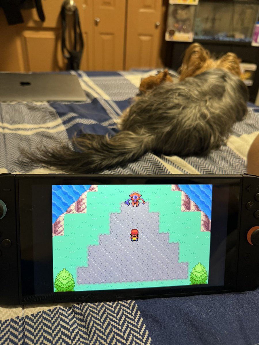 Jhon Rosete tweet media