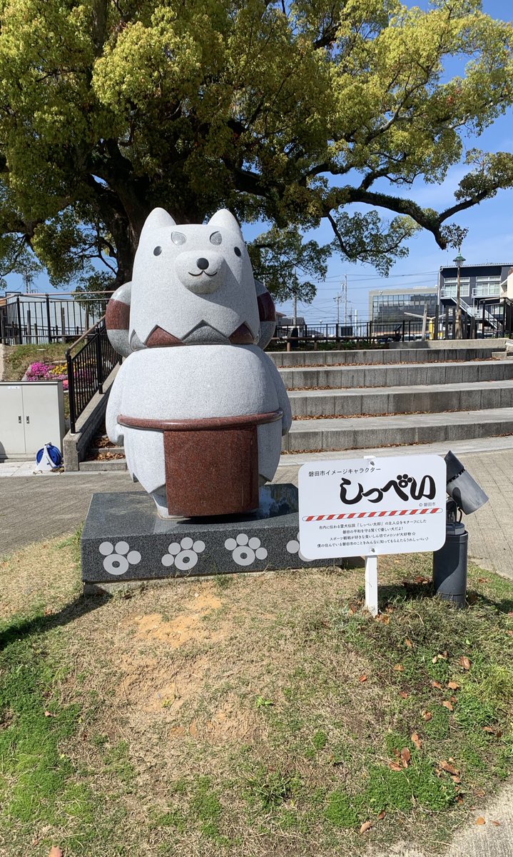 chika☆ tweet media