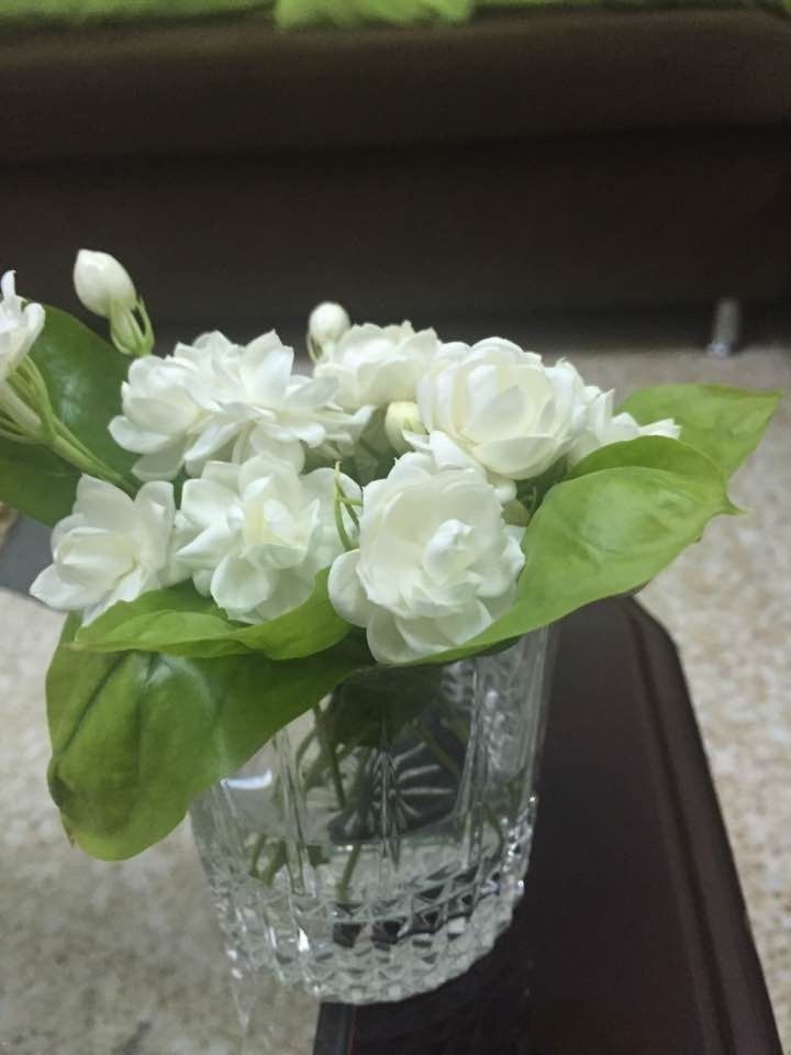 Motivational Robina tweet media