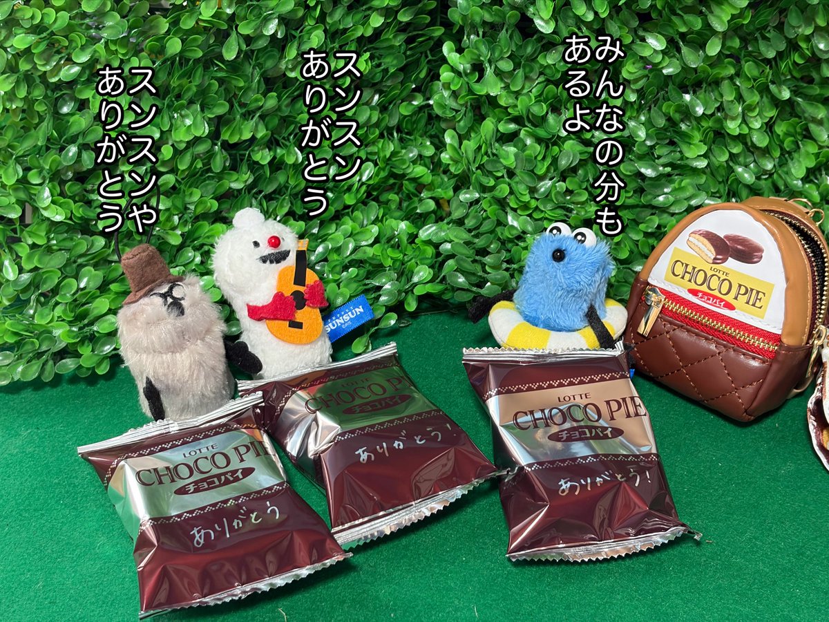 スンスン写真 tweet media