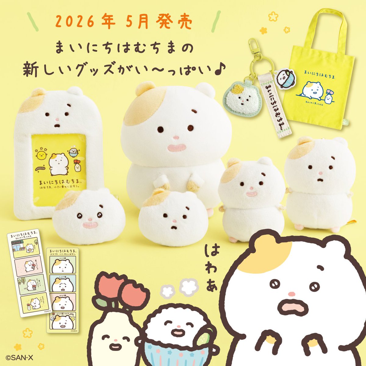 まいにちはむちま【公式】 tweet media