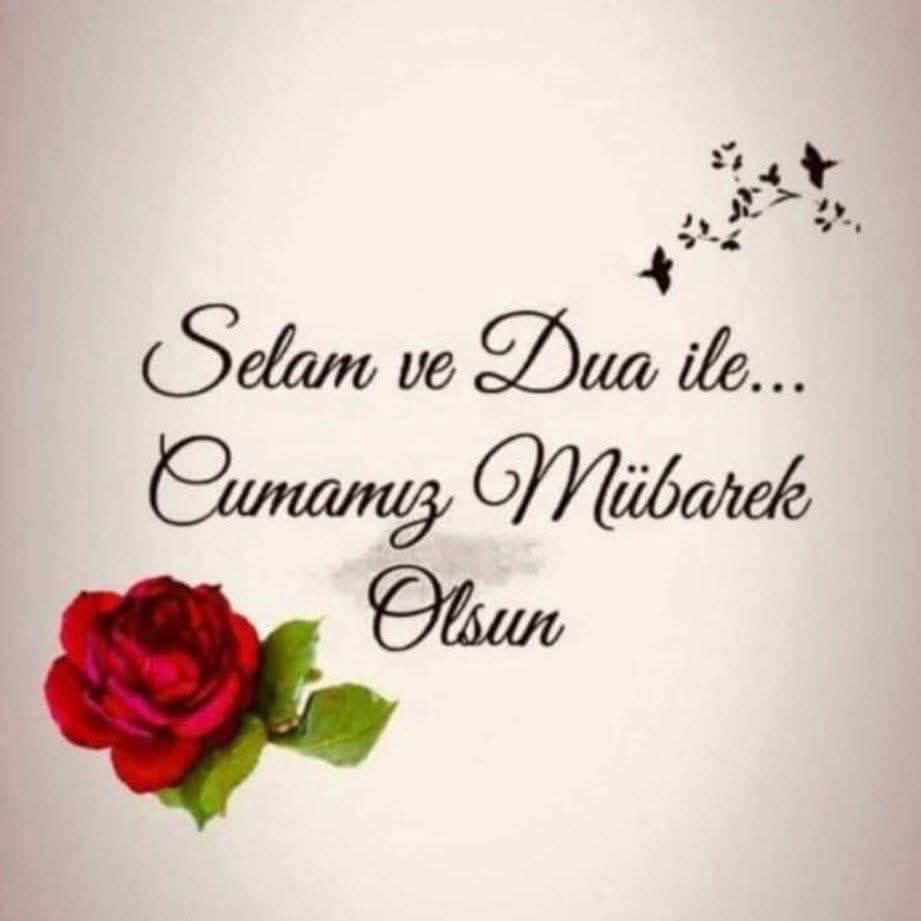 dadaşım mustafa tweet media