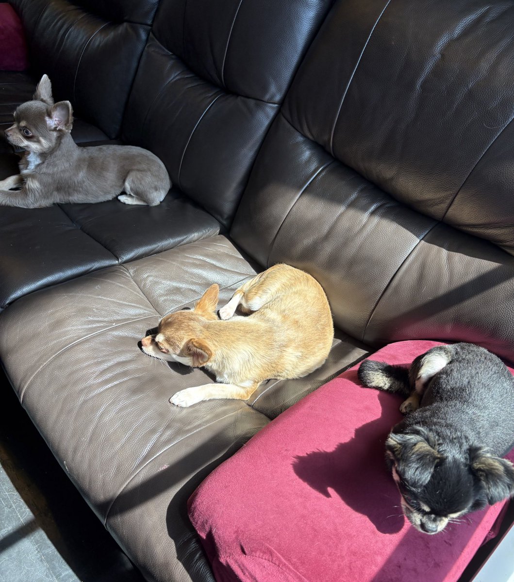 中村龍介 tweet media