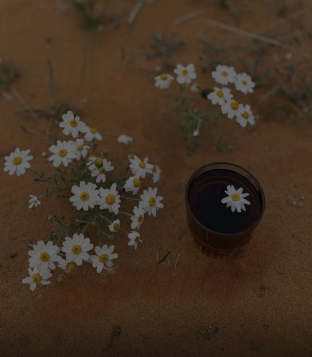 💙 خـشـف 💙 tweet media