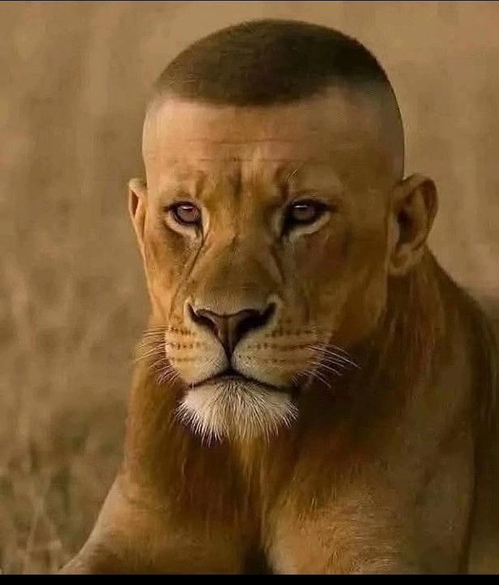 عزيز tweet media