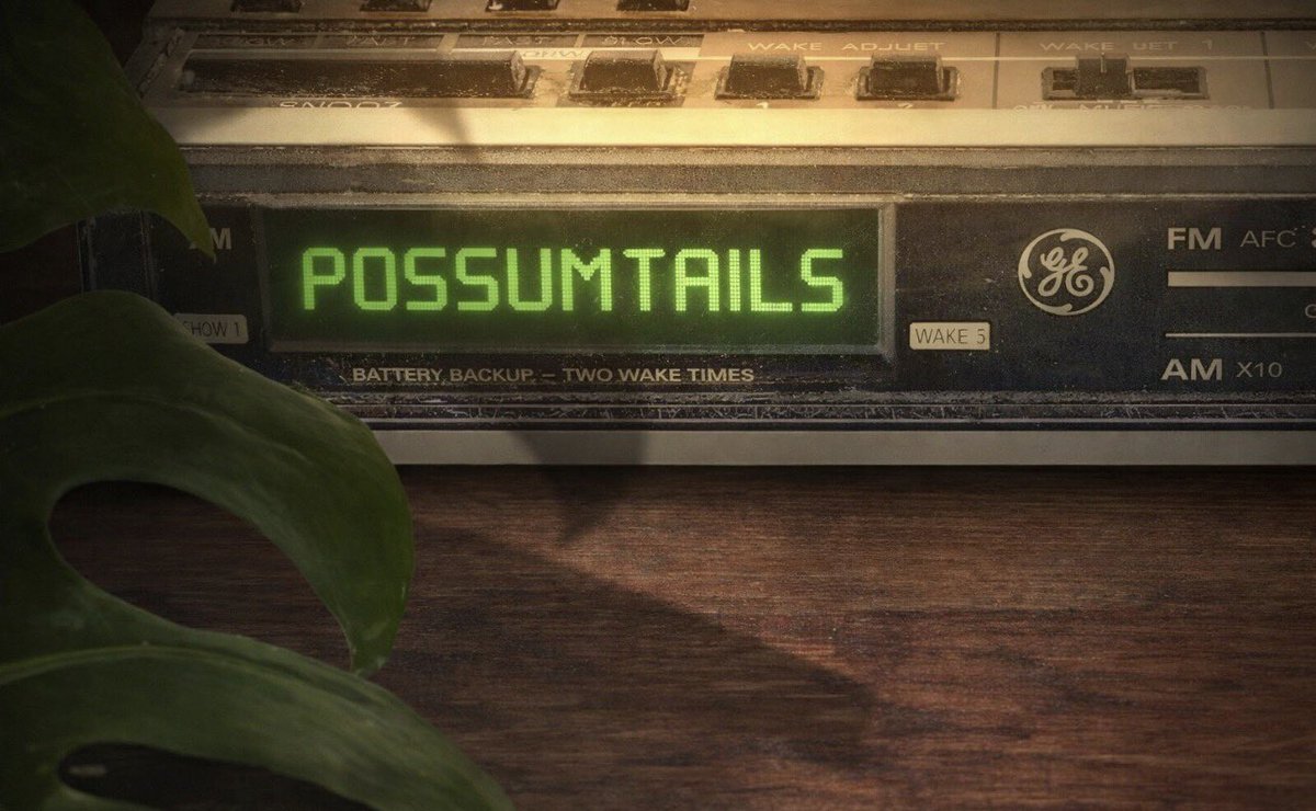 xrppossum's tweet image. You know what time it is ? 

#BetaTesting #PossumTails #RPG #XRPG