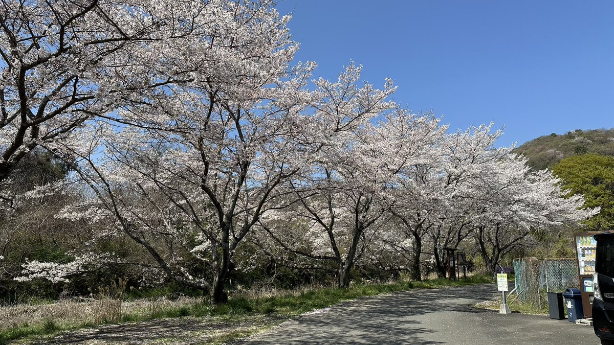 TK RoadBiker tweet media