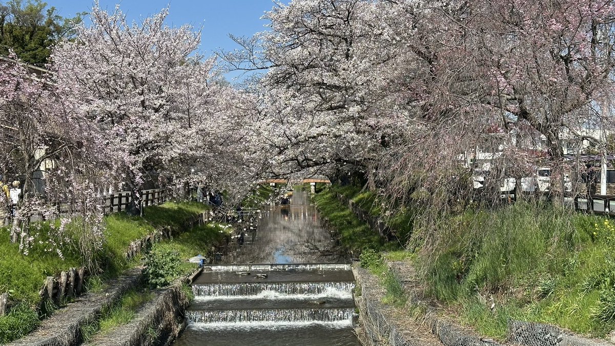 TK RoadBiker tweet media