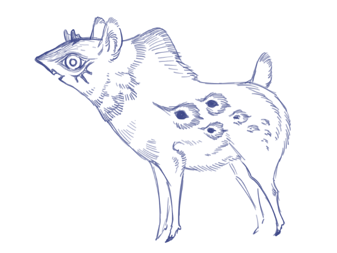 ふかもどき tweet media