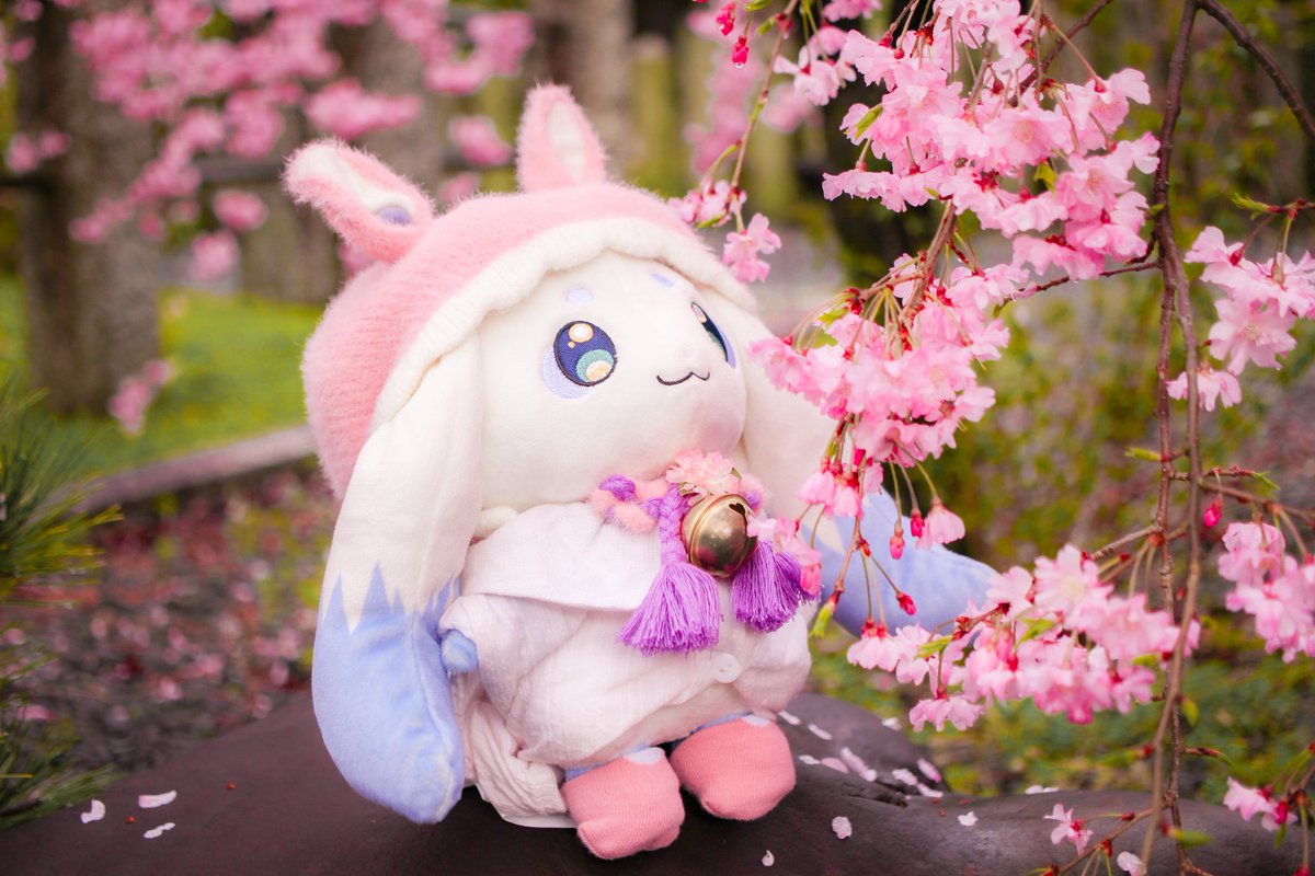 zanpan0u0's tweet photo. 🌸ちょまと枝垂れ桜🌸
#ちょまと撮ったよ
#見るんるん
#さむねいるんるん https://t.co/SyFlvq3XLU