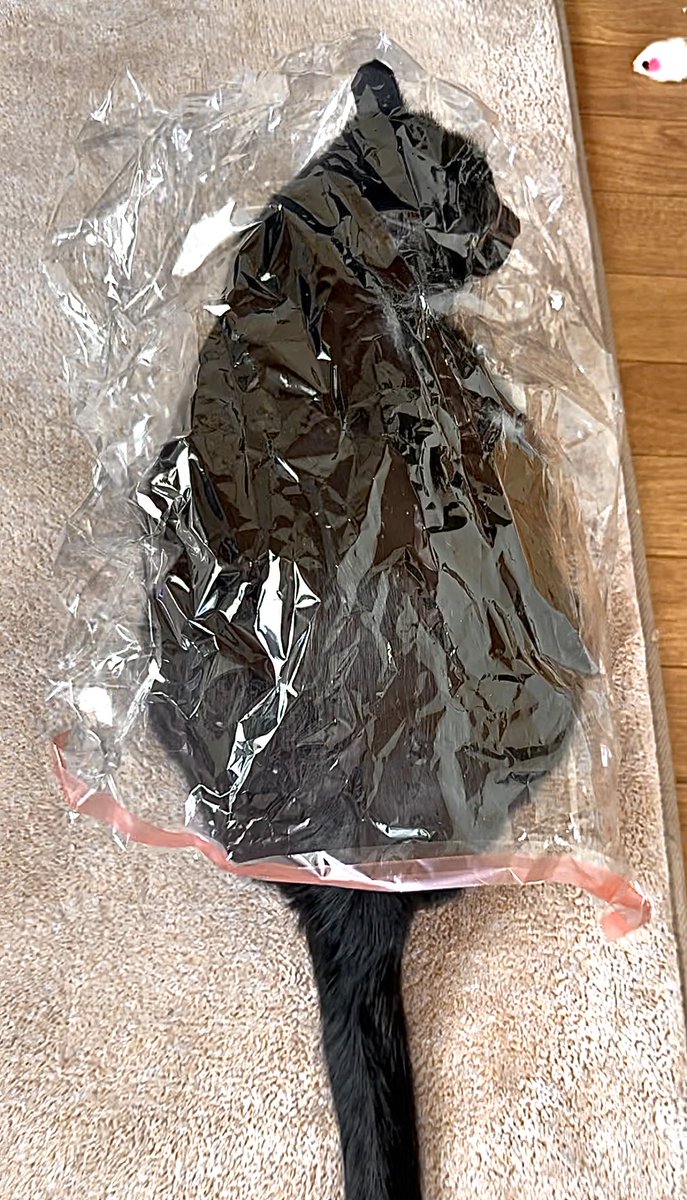 りっこ tweet media