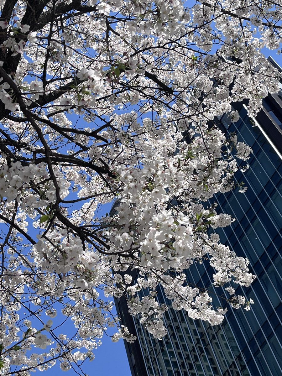 今津 奈鶴子-苔油彩画家- tweet media