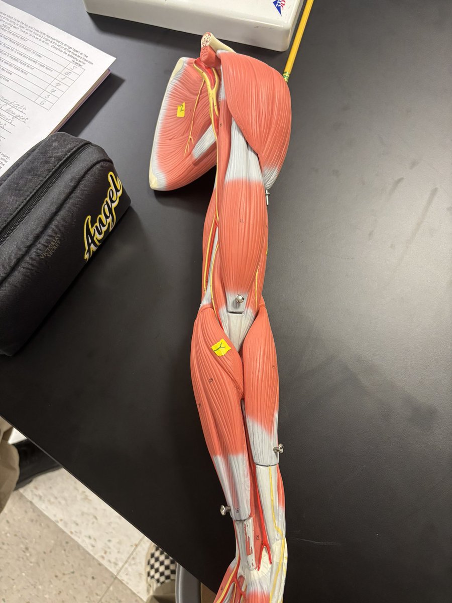 rye 🌾🔞 COMMS OPEN tweet media