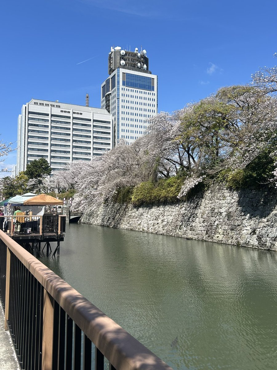 MAI@静岡グルメとお酒 tweet media
