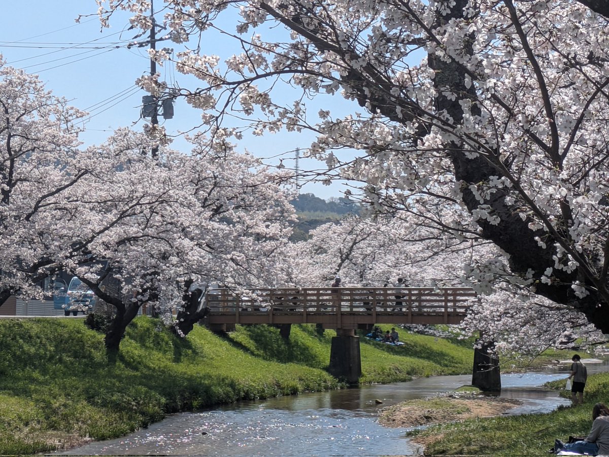 玉造温泉の

🌸桜🌸

🌸🌸🌸満開🌸🌸🌸

明日と明後日の2日間は、地酒祭りも開催😊
ふらっとしまねの地酒を飲みながら、夜桜を見に来てみて下さい😌

私もふらっと登場してると思います🍶