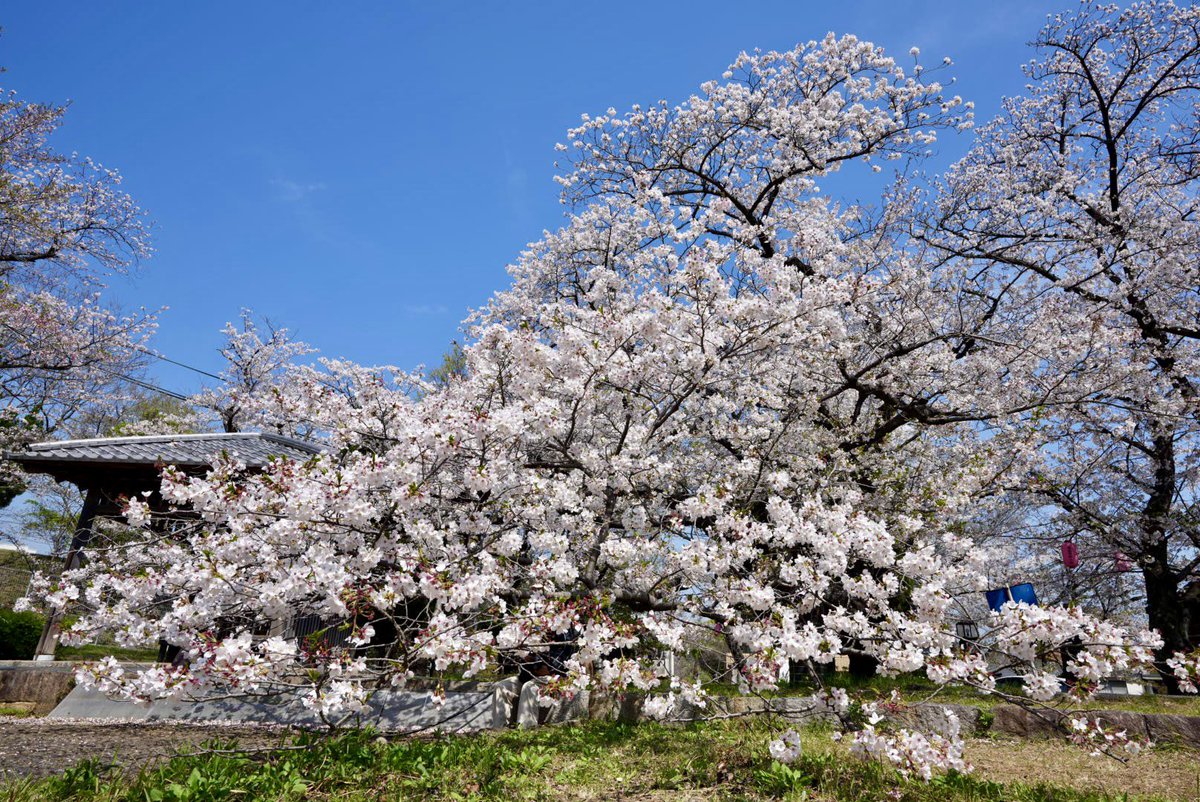 宮さん「G's 」Sphery Rendezvous名古屋2days東京ファイナル2days tweet media