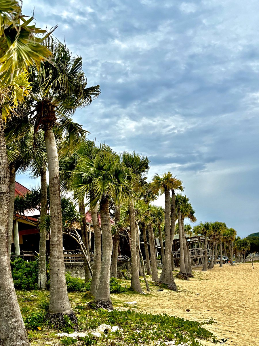 🍙🐟ノワ🌙* :ﾟ🐈‍⬛ tweet media