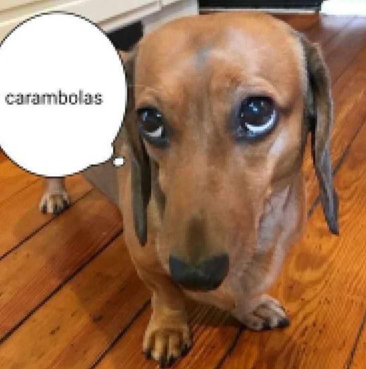 ೃ*ੈ✩Alys✧ ೃ*ੈ✩ੈ tweet media