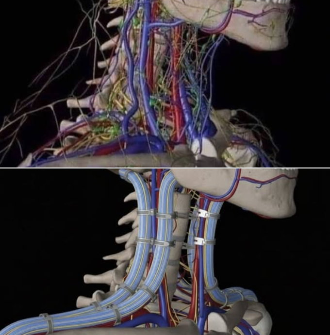 cheng yang tweet media