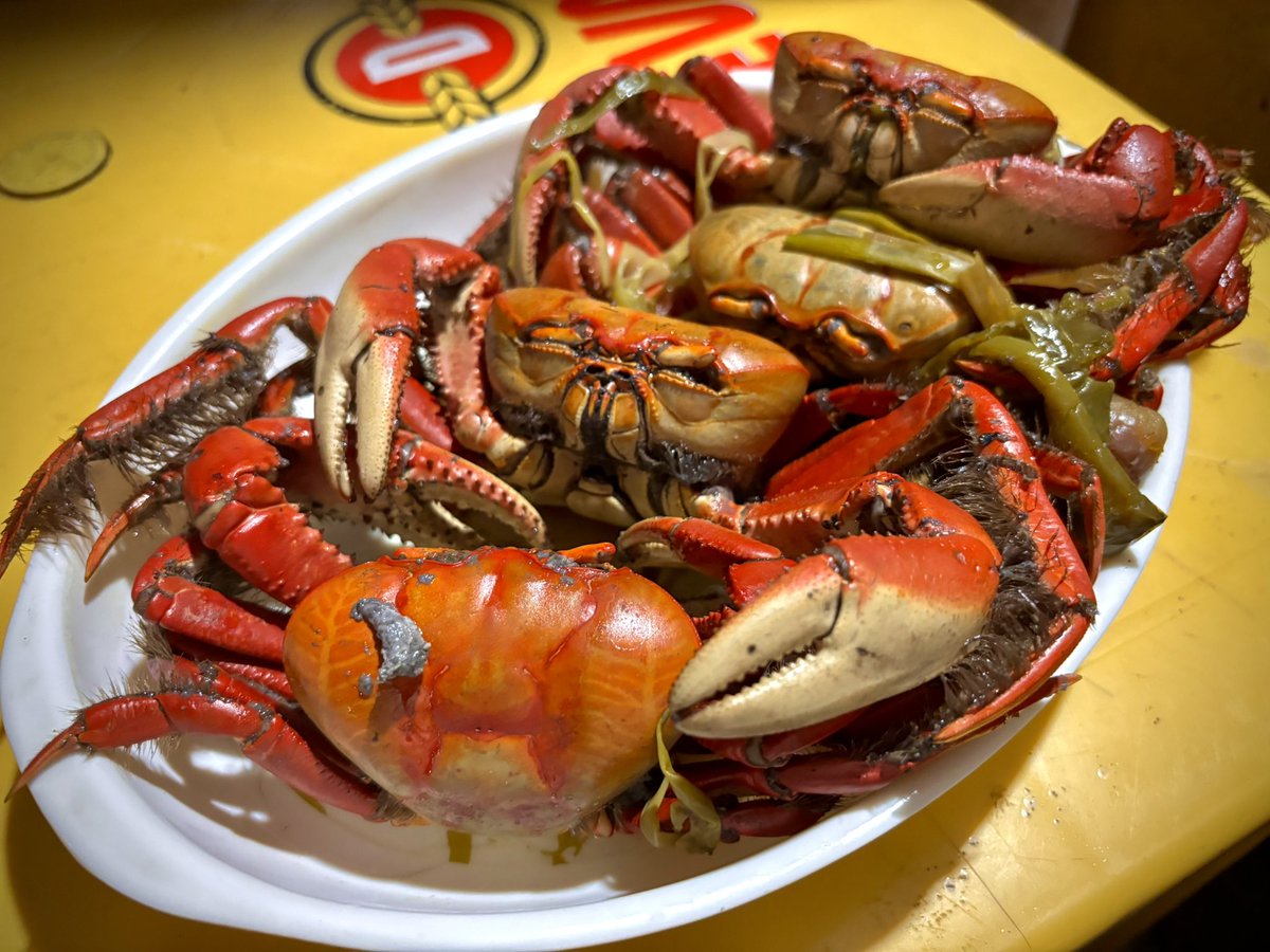 Sacha Faria tweet media