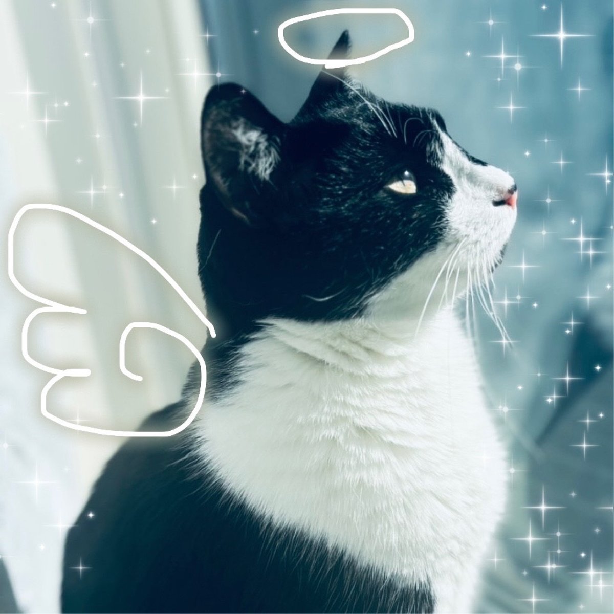 𝔲𝔫𝔠𝔦𝔳𝔦𝔩𝔦𝔷𝔢𝔡 𝔤𝔦𝔯𝔩𝔰 𝔪𝔢𝔪𝔬𝔯𝔶 tweet media