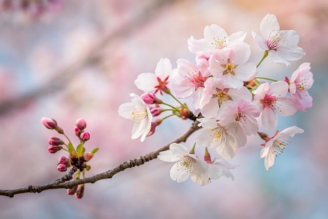 Jessica Jordan tweet media