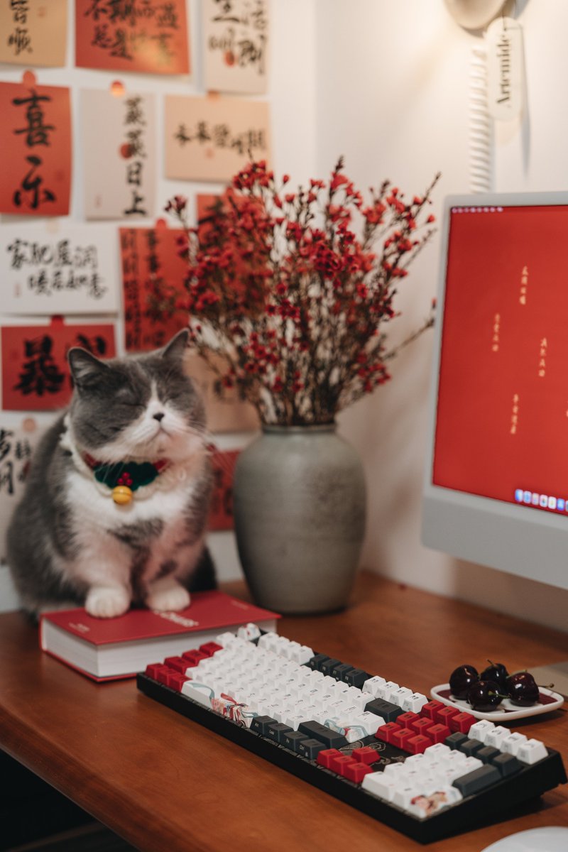 Varmilo_Zhh's tweet image. Beijing Opera 🏮 — A tribute to a centuries-old art form, where vivid costumes, symbolic makeup, and theatrical expression come alive beneath your fingertips.🛑
👉varmilo.com/products/beiji…
#desktop #keyboard #CatsAndPeace