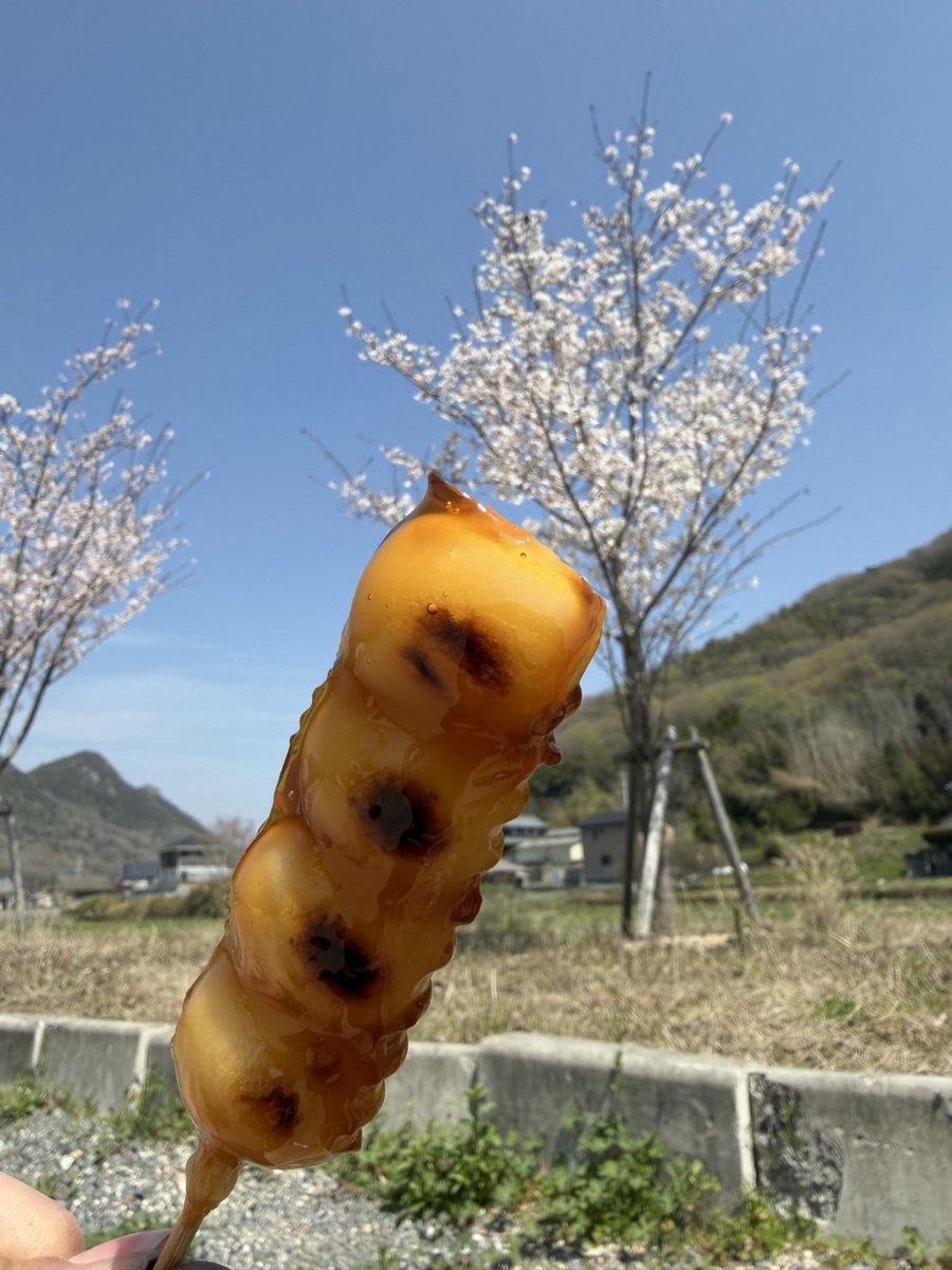 テラ@オブシビ tweet media