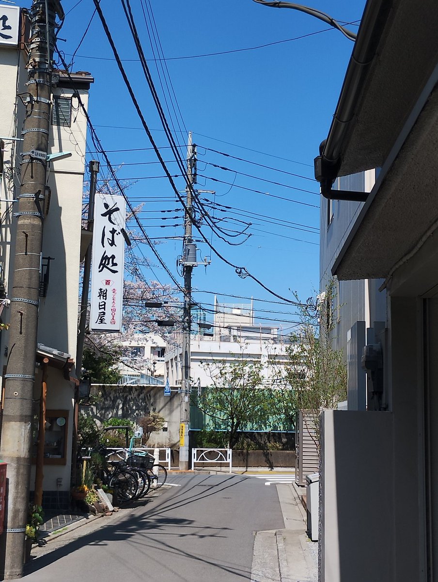 noro kai tweet media