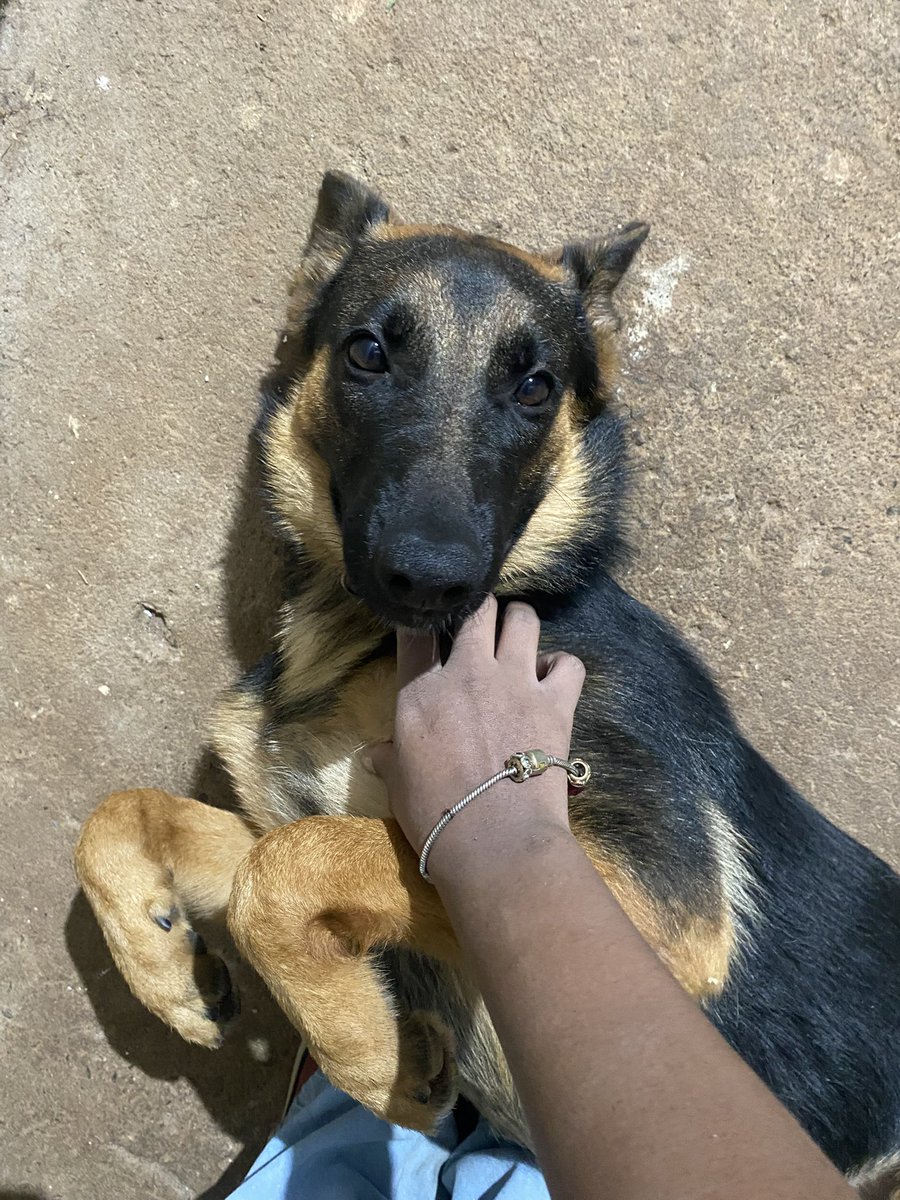 𝕸𝖚𝖑𝖍𝖊𝖗 𝕮𝖔𝖇𝖗𝖆💋 tweet media