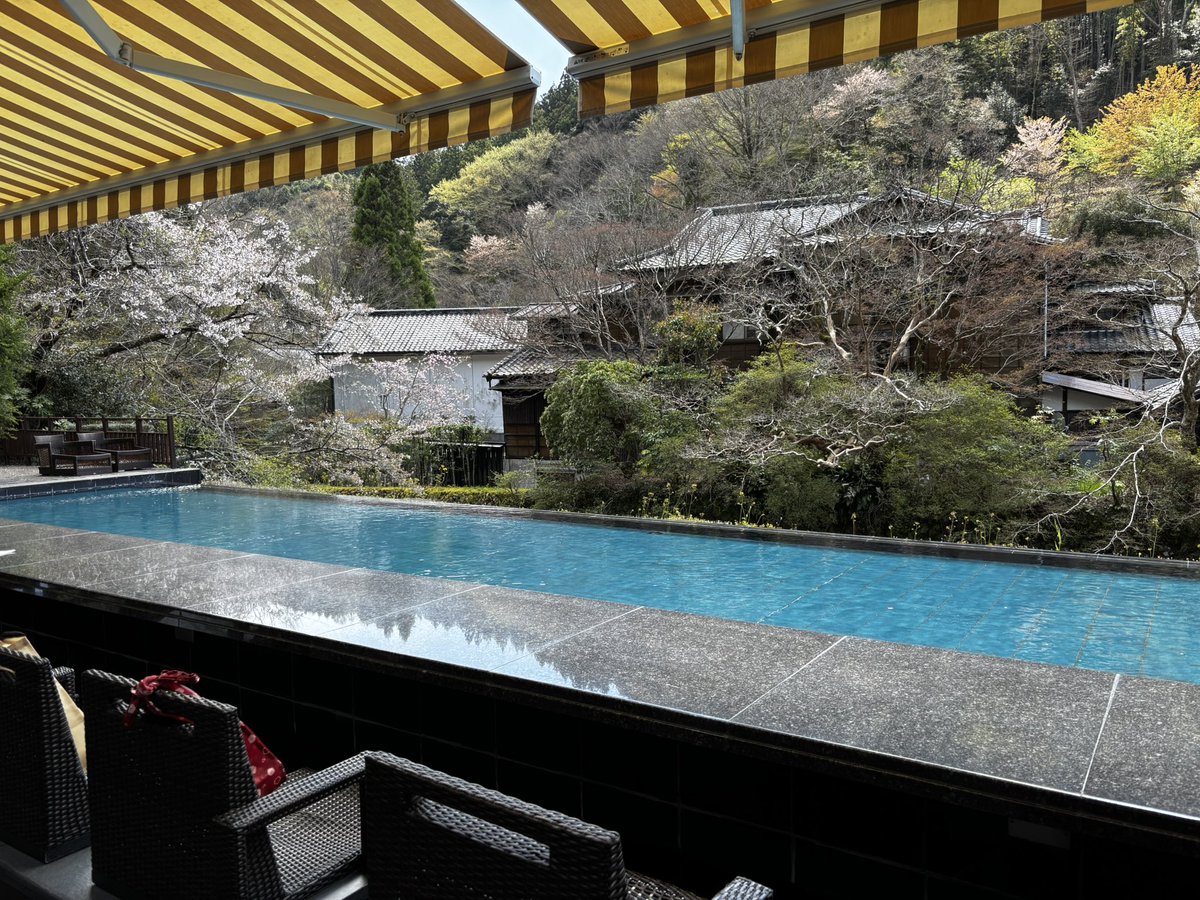 こうもりちゃん🦇💕 tweet media