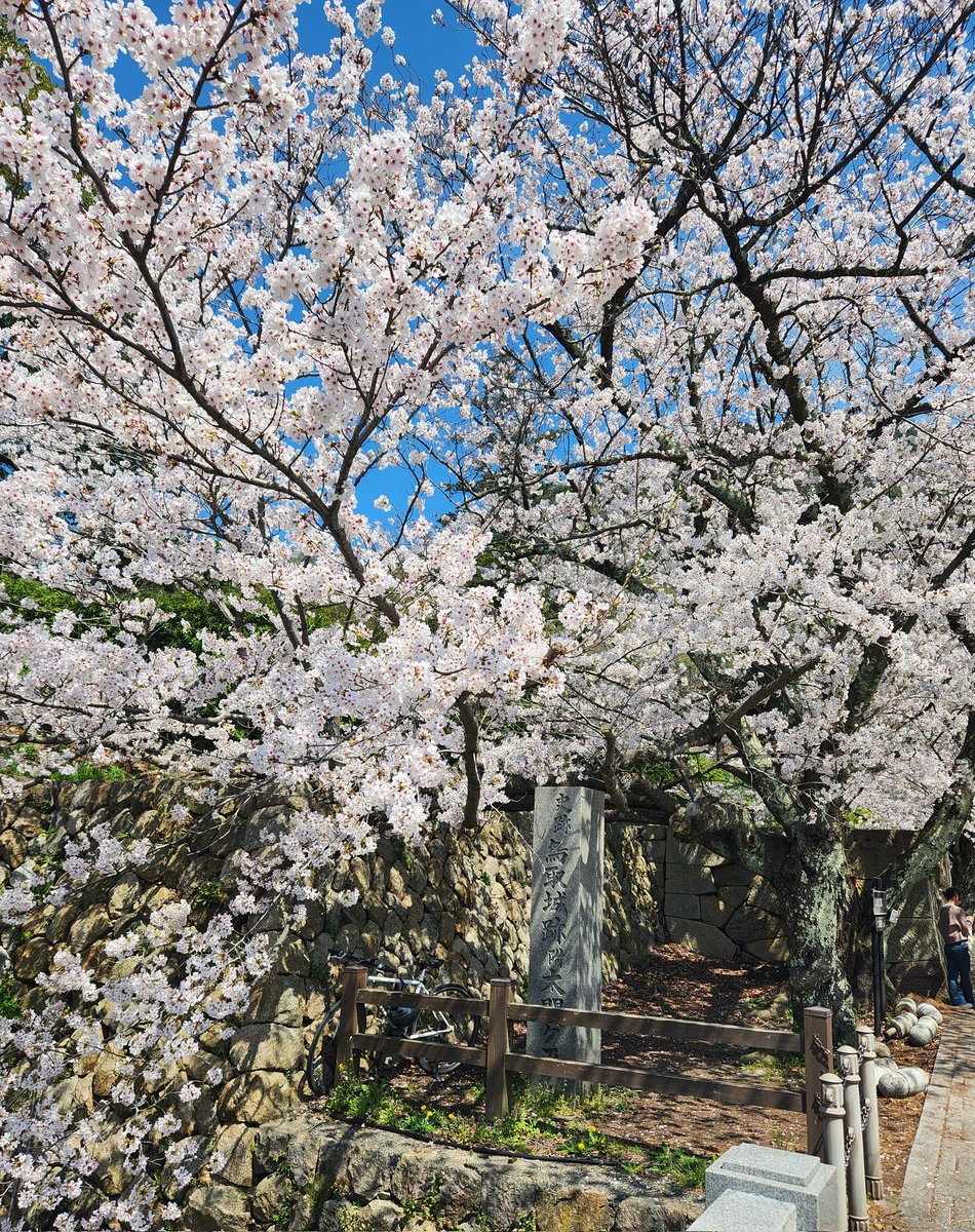 あさっち tweet media