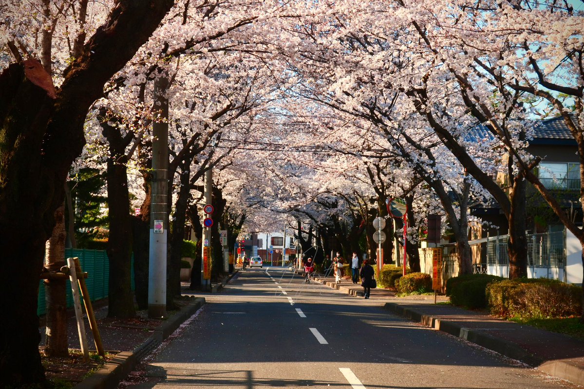 ｫﾑT=з宀 tweet media