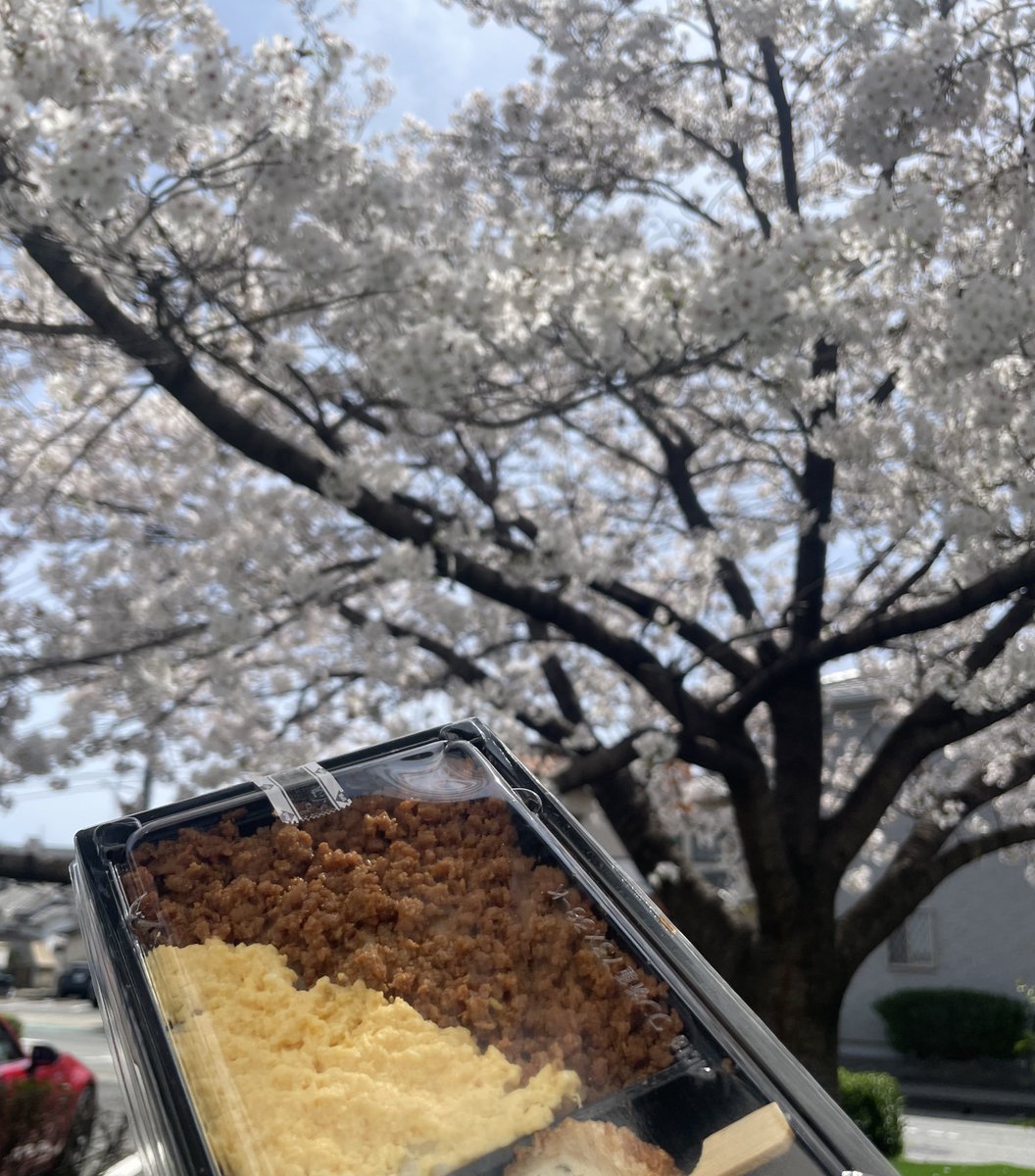 nekosuta tweet media