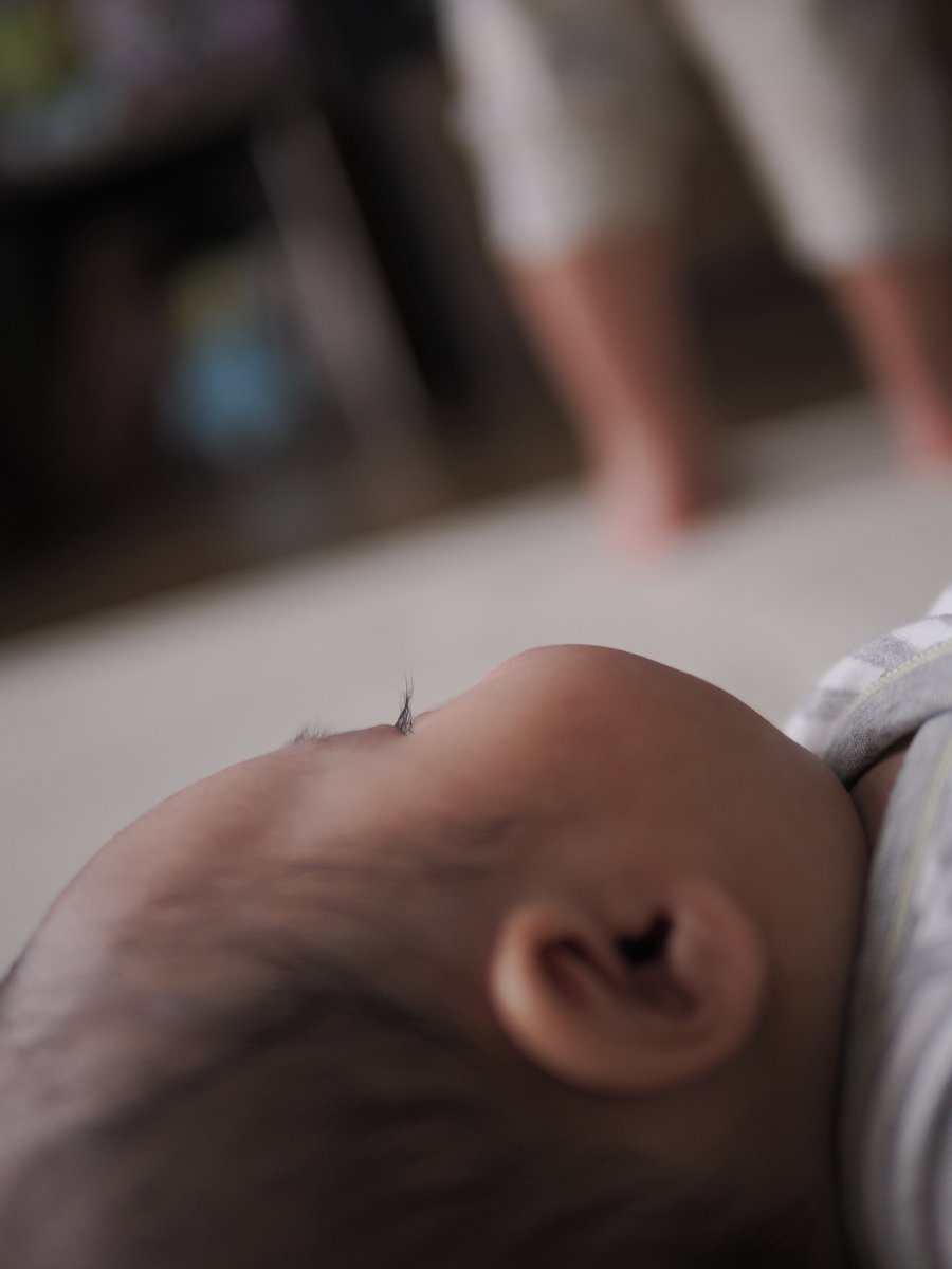 エヌ氏 tweet media