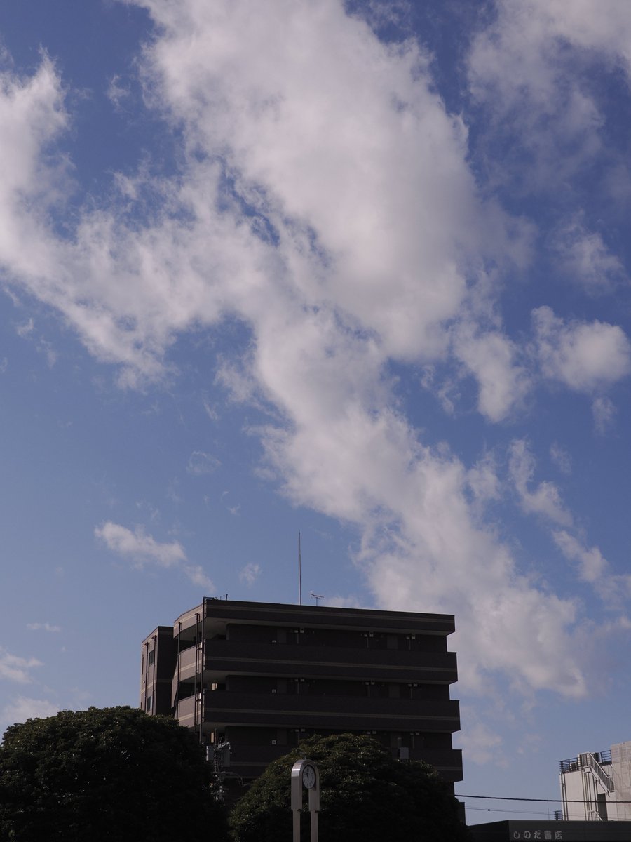 エヌ氏 tweet media