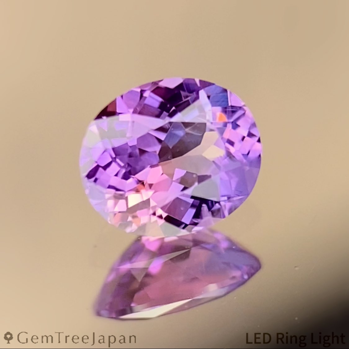 GemTreeJapan tweet media