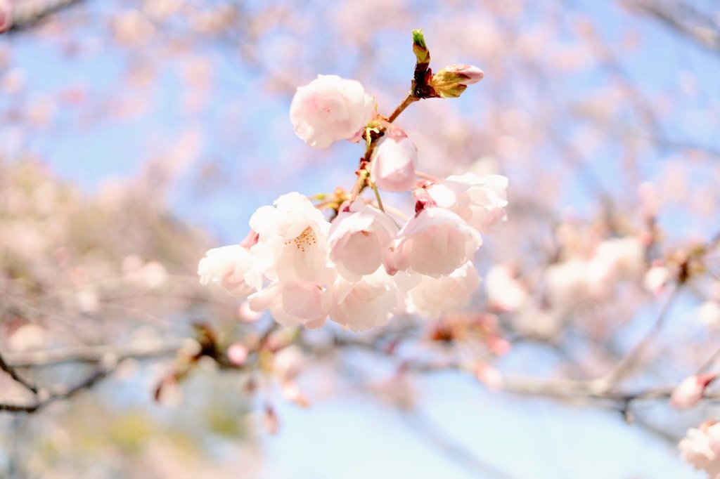 エメロン🐢🐈‍⬛ ͗🐌🦭(⚯̫ ﾐэ)Э🚪🌙🔎💐 tweet media