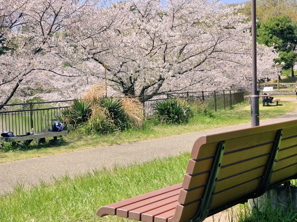 エメロン🐢🐈‍⬛ ͗🐌🦭(⚯̫ ﾐэ)Э🚪🌙🔎💐 tweet media