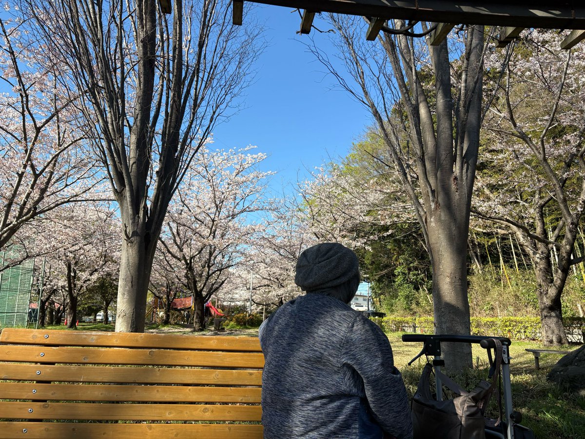 Actionplus0101's tweet photo. 津田沼店
外出支援を行ってきました☺️
行けない、出来ない事をサポート出来る事はとても嬉しい事ですね✨
できないをできるに変える🙌🏻

#船橋市リハビリ #訪問看護#訪問看護リハビリステーション#外出支援#実籾本郷公園 https://t.co/8yS4EO2UV4