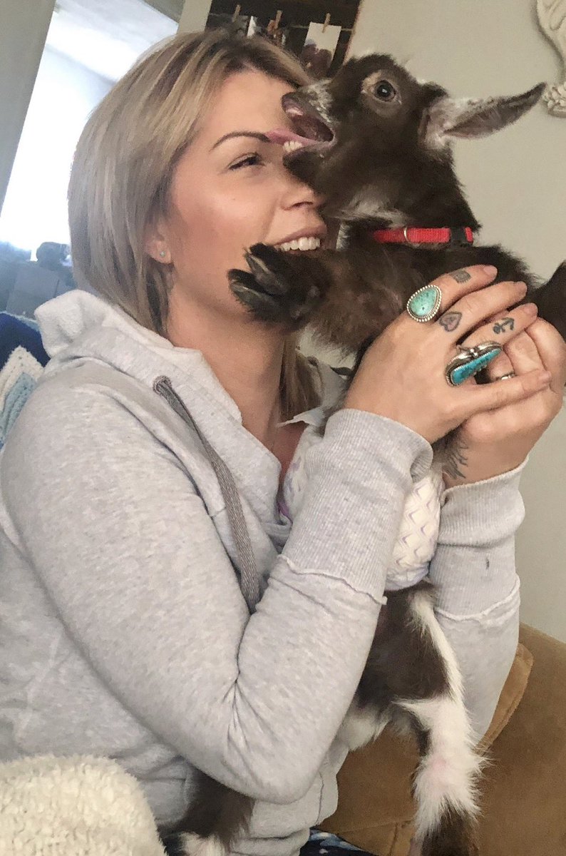 🌷 LIZZIE🌷 tweet media