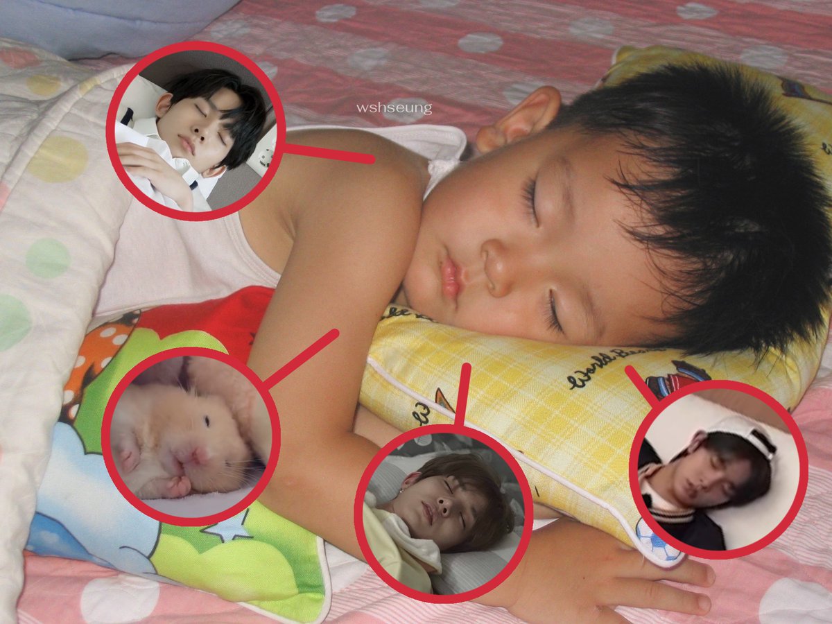 anne 🐺🚬 | ENHYPEN IS SEVEN tweet media