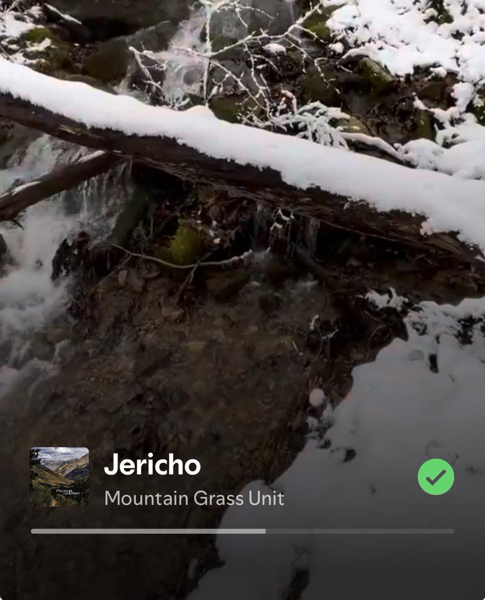 Amari Trilliams tweet media