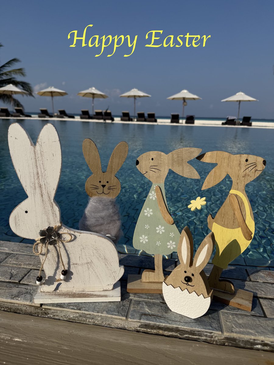 Ocean Dimensions tweet media